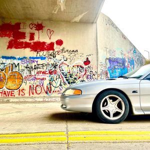 Meet your Posher, Dalton